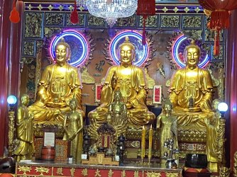 IMG_7406.jpeg IMG_7406.jpeg