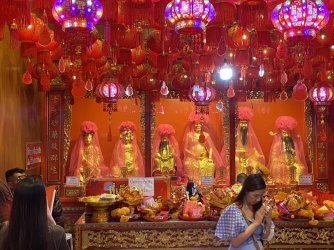 IMG_7410.jpeg IMG_7410.jpeg