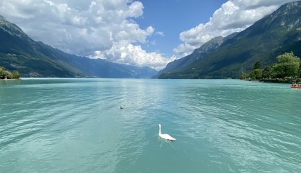 IMG_E1008.JPG IMG_E1008.JPG