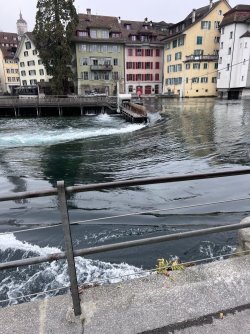 IMG_6023.jpeg IMG_6023.jpeg