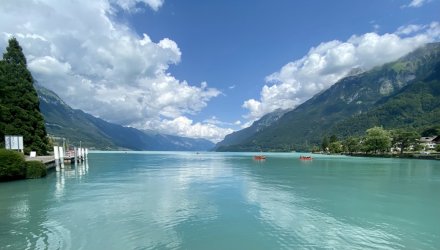 IMG_E1007.JPG IMG_E1007.JPG