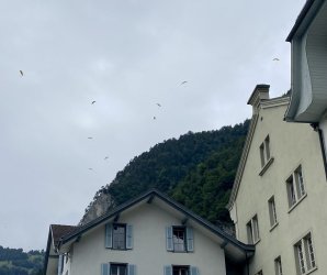 IMG_E0434.JPG IMG_E0434.JPG