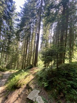 IMG_E1083.JPG IMG_E1083.JPG