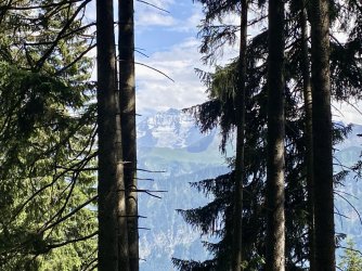 IMG_E1084.JPG IMG_E1084.JPG