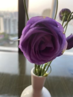 IMG_7355.jpg IMG_7355.jpg