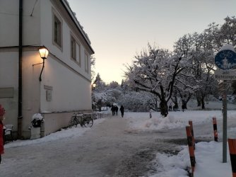 salz12.jpg salz12.jpg