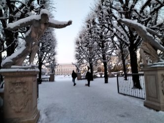 salz25.jpg salz25.jpg