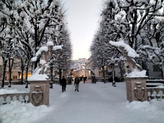 salz18.jpg salz18.jpg