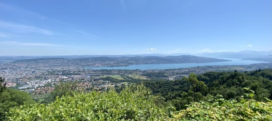 IMG_E1253.JPG IMG_E1253.JPG