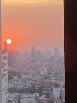 IMG_7424.jpg IMG_7424.jpg
