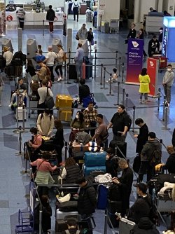 IMG_7484.jpeg IMG_7484.jpeg