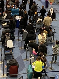 IMG_7485.jpeg IMG_7485.jpeg