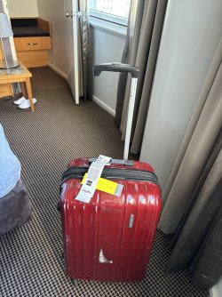 IMG_1250.jpeg IMG_1250.jpeg