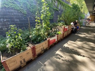 IMG_1342.JPG IMG_1342.JPG