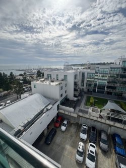 IMG_0504.jpeg IMG_0504.jpeg