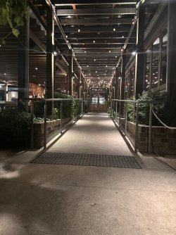 IMG_2529.jpeg IMG_2529.jpeg