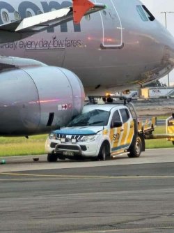 IMG_4019.jpeg IMG_4019.jpeg