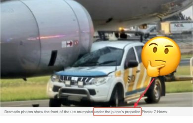 IMG_0054.jpeg IMG_0054.jpeg