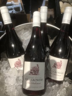 IMG_8726.jpeg IMG_8726.jpeg