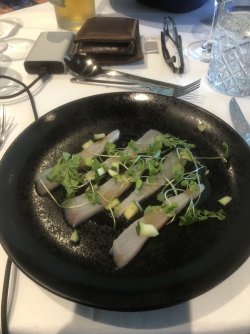 IMG_8763.jpeg IMG_8763.jpeg