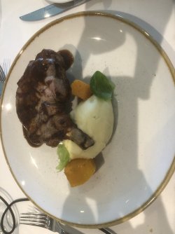 IMG_8764.jpeg IMG_8764.jpeg