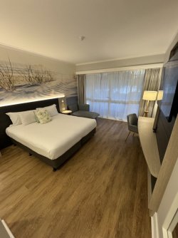 IMG_2133.jpeg IMG_2133.jpeg