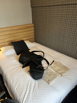 IMG_9036.jpeg IMG_9036.jpeg