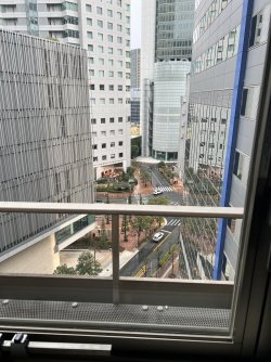 IMG_9039.jpeg IMG_9039.jpeg