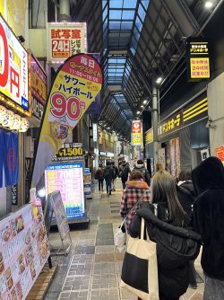 IMG_9042.jpeg IMG_9042.jpeg