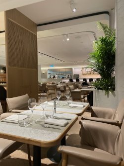 IMG_1902.jpeg IMG_1902.jpeg