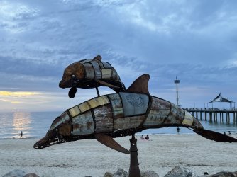 IMG_9906.JPG IMG_9906.JPG