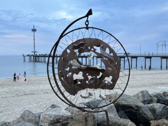 IMG_9911.JPG IMG_9911.JPG