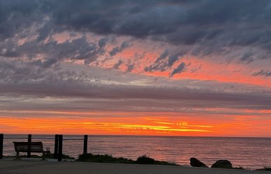 IMG_9921.JPG IMG_9921.JPG