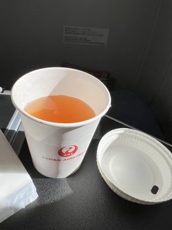 IMG_9156.jpeg IMG_9156.jpeg