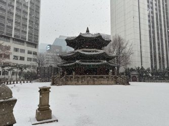 korea - 20.jpeg korea - 20.jpeg