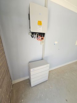 IMG_20240202_135833.jpg IMG_20240202_135833.jpg