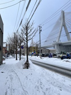 IMG_9207.jpeg IMG_9207.jpeg
