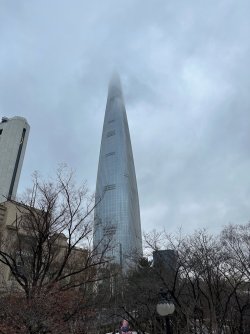 korea - 33.jpeg korea - 33.jpeg