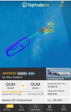 IMG_2231.jpeg IMG_2231.jpeg