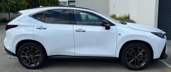 IMG_0171.jpeg IMG_0171.jpeg