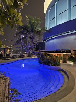 20240123_211422.jpg 20240123_211422.jpg