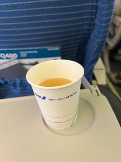 IMG_9285.jpeg IMG_9285.jpeg