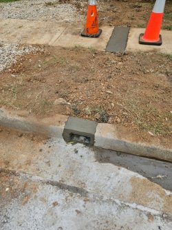 IMG_20240205_153424.jpg IMG_20240205_153424.jpg