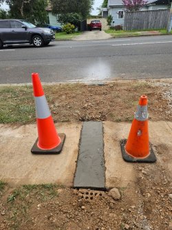 IMG_20240205_153432.jpg IMG_20240205_153432.jpg