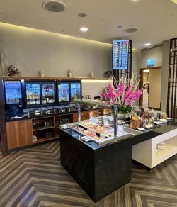 IMG_3761.jpeg IMG_3761.jpeg