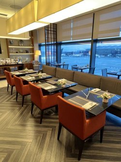 IMG_3762.jpeg IMG_3762.jpeg