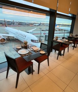 IMG_3766.jpeg IMG_3766.jpeg