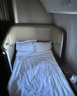 IMG_3725.jpeg IMG_3725.jpeg