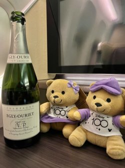 IMG_3734.jpeg IMG_3734.jpeg