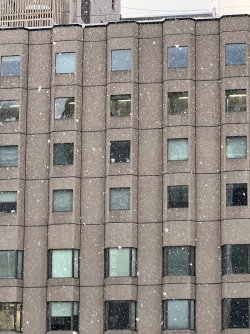 IMG_9471.jpeg IMG_9471.jpeg